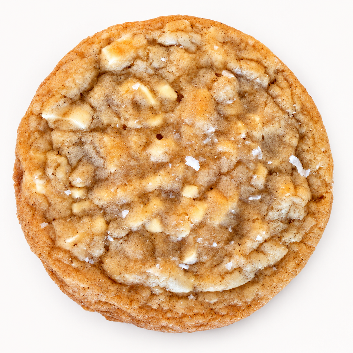 Salted Brown Butter White Chocolate Macadamia Cookie