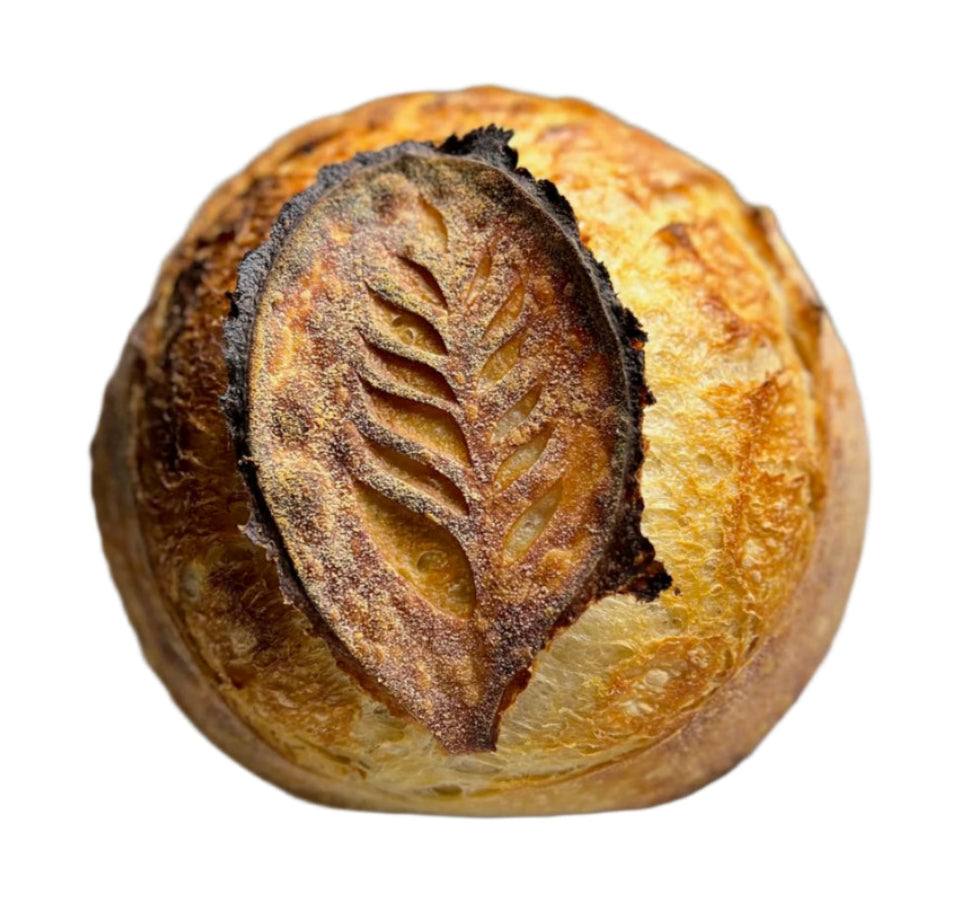 Barton Springs Red Blend Sourdough