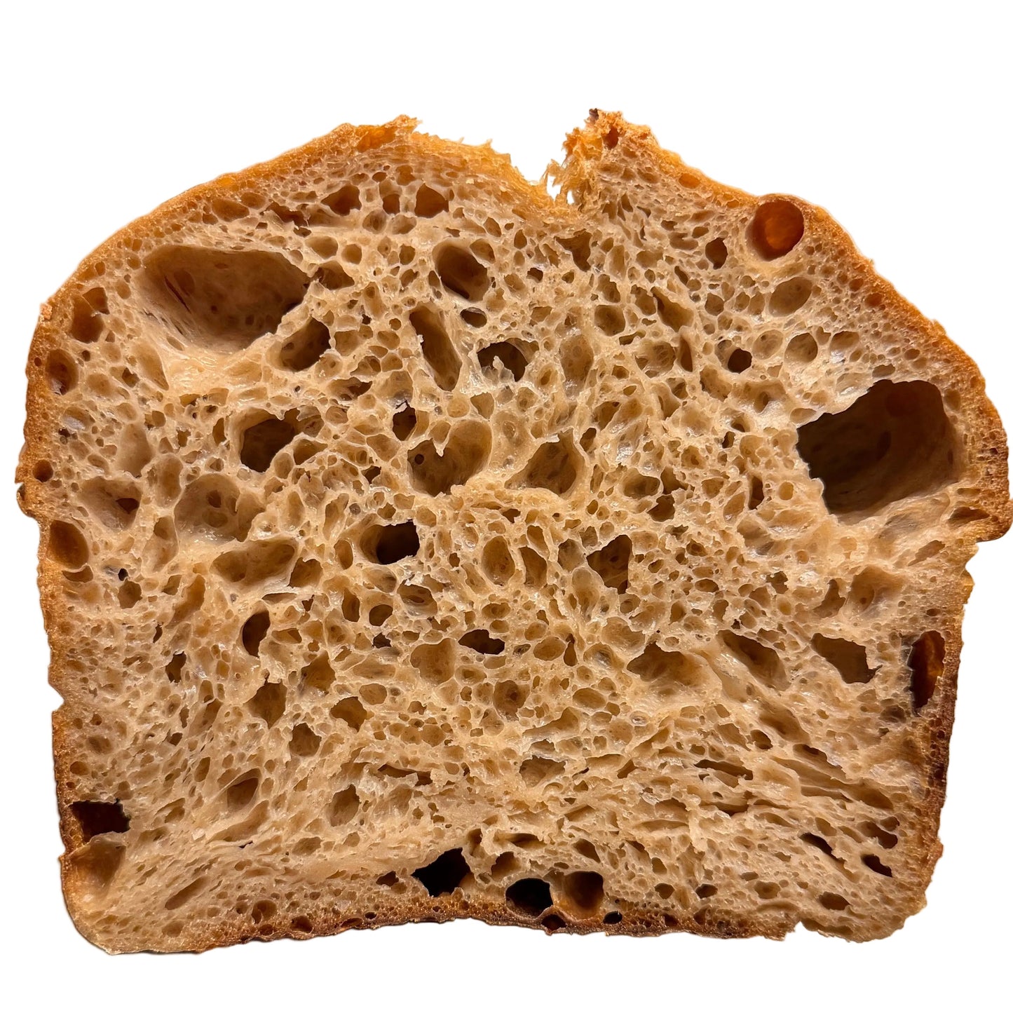 Barton Springs Red Blend Sourdough
