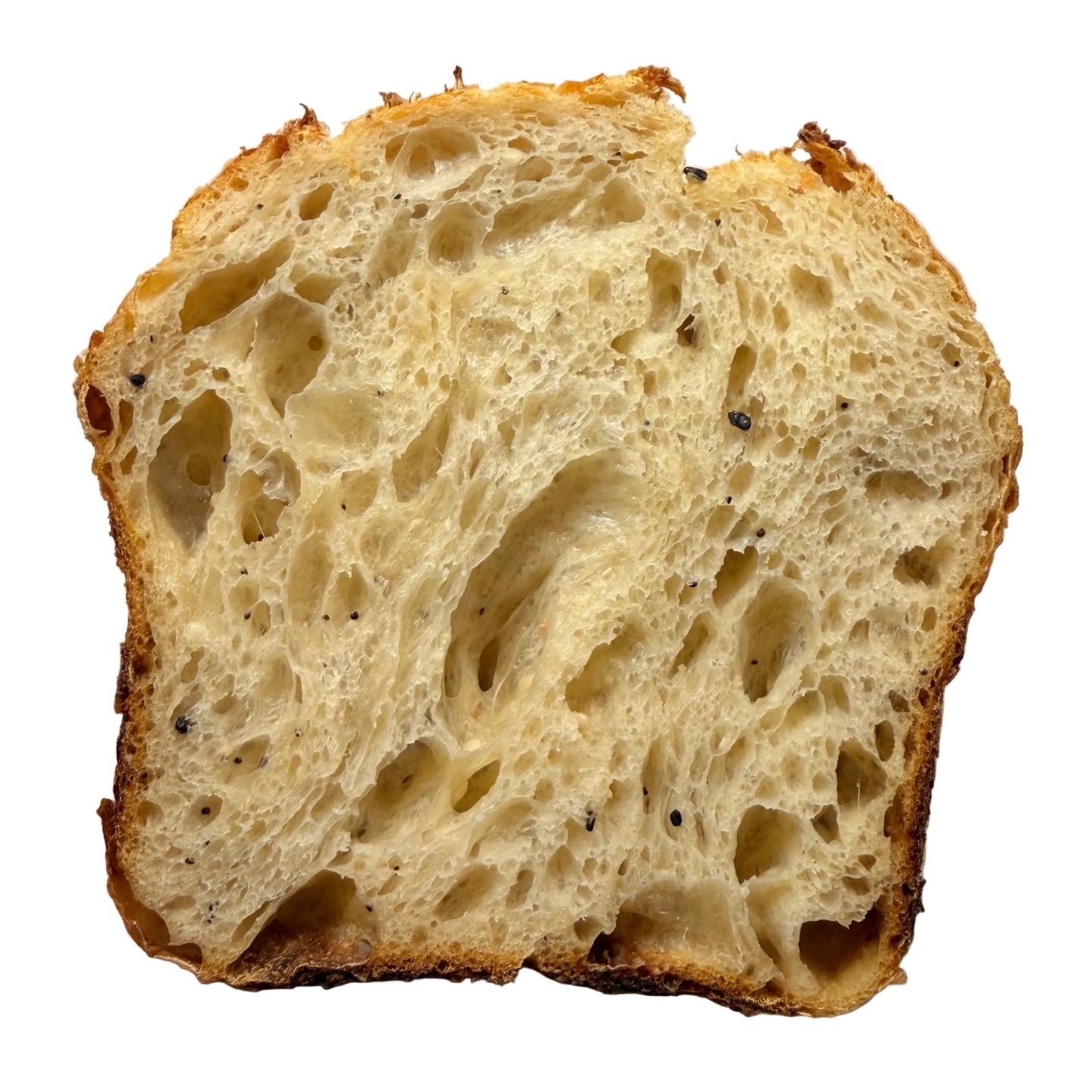 Everything Bagel Sourdough