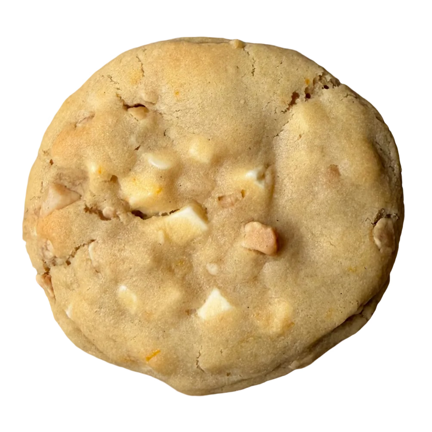 Orange White Chocolate Macadamia Cookie